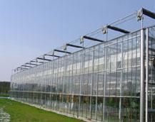 山东及潍坊地区连栋温室大棚造价解析与农副产品生产应用