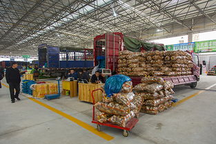 丽水南城农副产品市场 镜头下的“山耕”之美