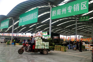 双龙农副产品交易中心蔬菜交易区试运营，畅通黔货出山新通道