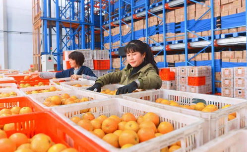 政府采购助力乡村振兴 四部门发文继续实施脱贫地区农副产品采购政策